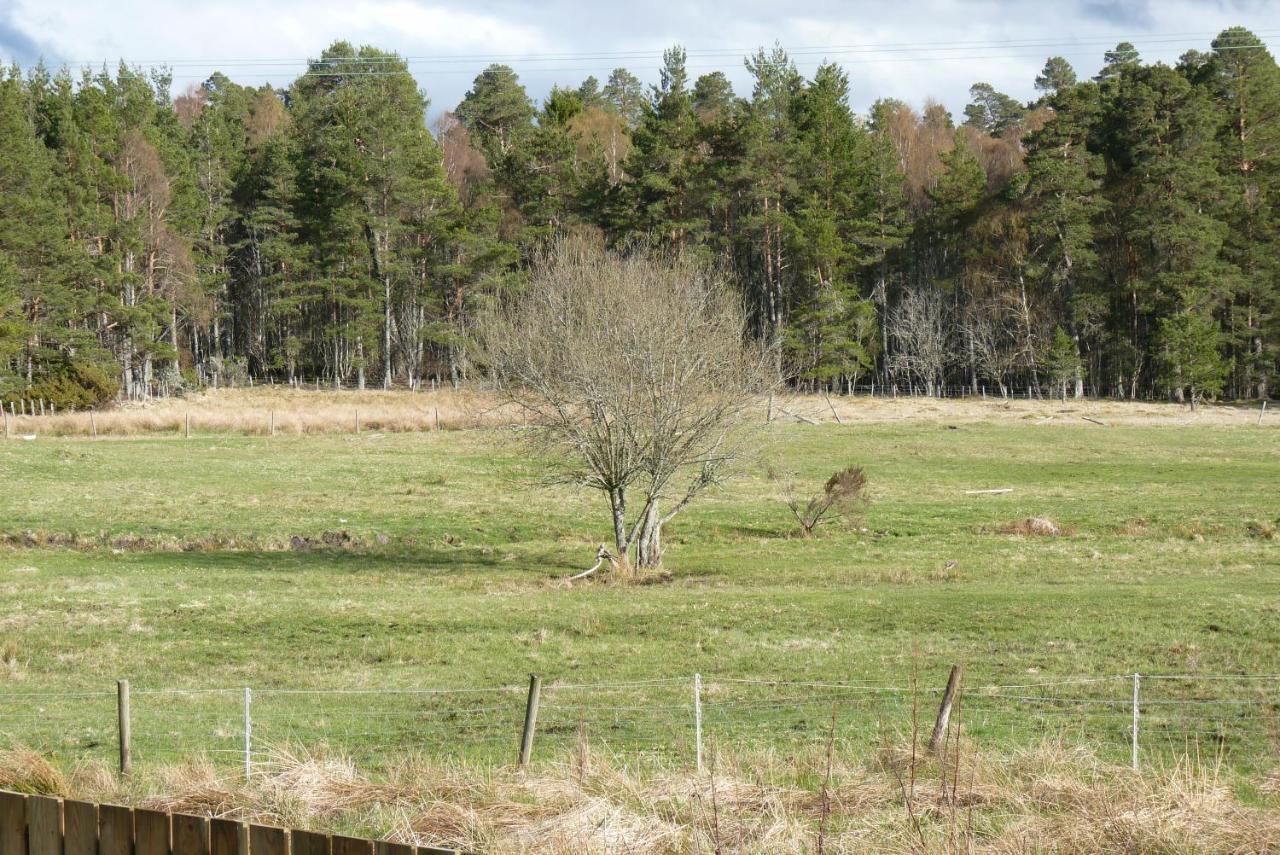 Tanleys B&B Grantown-on-Spey Экстерьер фото
